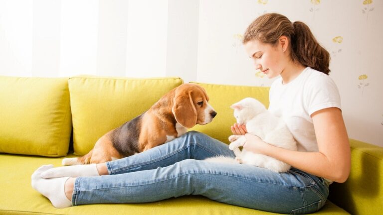 3 HVAC Tips for Pet Owners HVAC Tips for Pet Owners