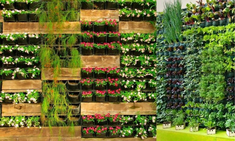 From Vertical Gardens to Lattice Panels: Innovative Privacy Fence Ideas for Your Home Vertical Gardens to Lattice Panels