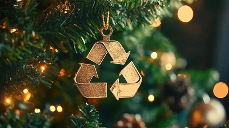 Everything You Need to Know About Christmas Tree Recycling Christmas Tree Recycling