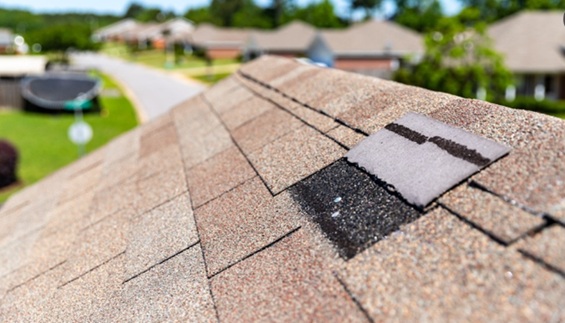 Common Mistakes to Avoid in Shingle Roof Replacement