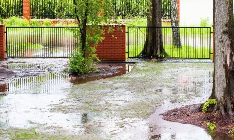 The Hidden Garden Drainage Issue That Starts At the Fence Line