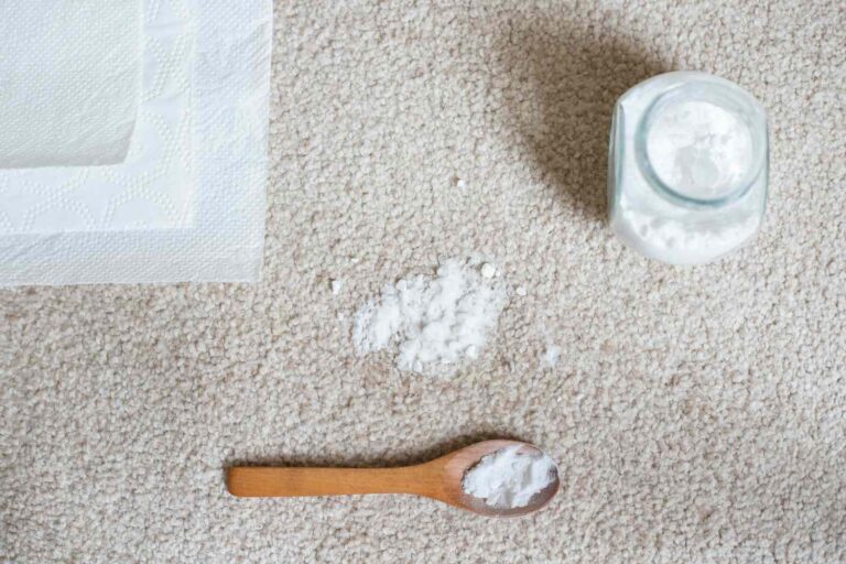 Baking Soda and Salt Carpet Cleaner for Tough Stains