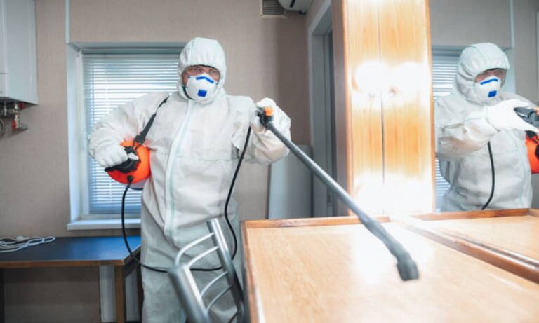 How to Choose the Best Mold Remediation Company Near You