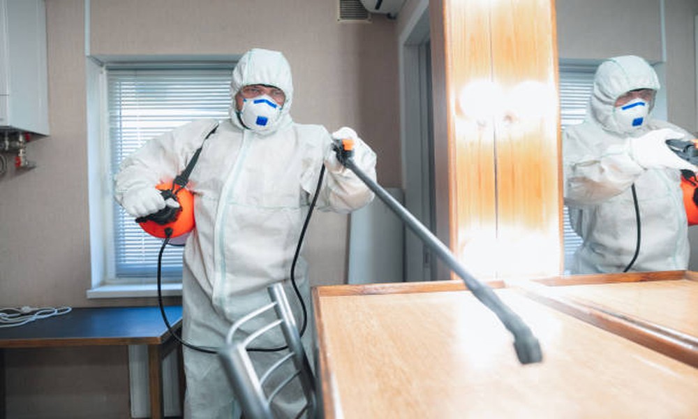 How to Choose the Best Mold Remediation Company Near You