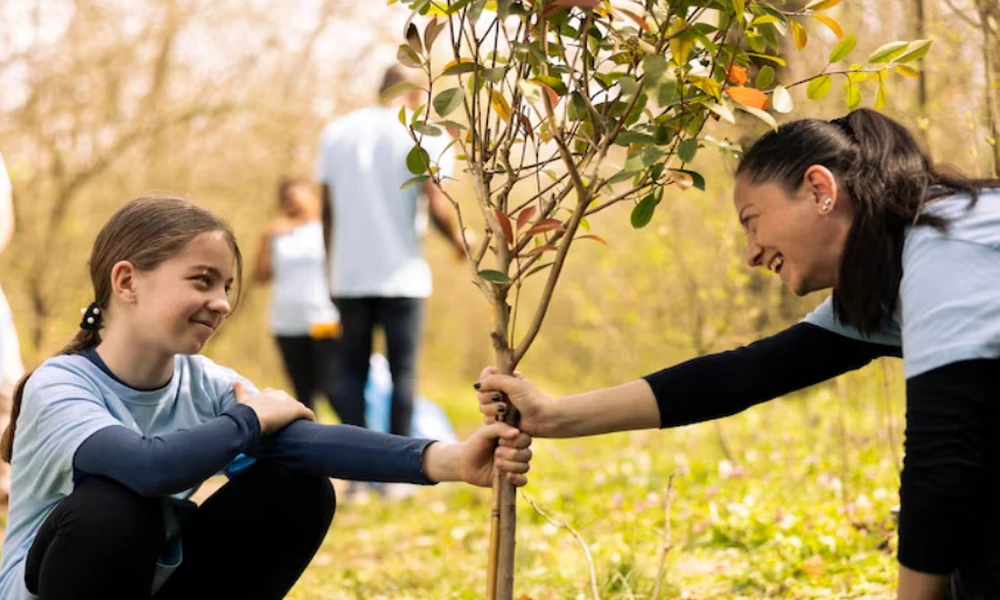Are there ways to You Save a Dying Tree? A Practical Help Guide to Recovery and Tree Health