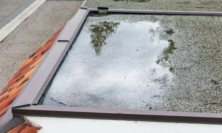 Which Flat Roof Membrane Survives Ponding Water Best?
